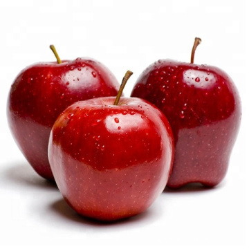 export fresh red delicious apple fruit fresh apple fruit for sale